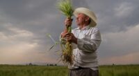 En respuesta a la creciente crisis climática que afecta la producción agrícola nacional y global, HEINEKEN México y CIMMYT anunciaron el inicio del curso “Técnico Certificado en Agricultura Sustentable“, el cual busca […]