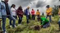 Integrantes de grupo Gentera junto con sus familias se dieron cita en Santiago Tianguistenco para cumplir una de sus acciones de responsabilidad social para reforestar el bosque de Agua de […]