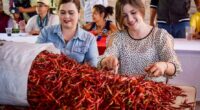 Muchos mexicanos presumen amar el picante, tanto, que no podrían vivir sin él. Para todos esos valientes con estómago de acero y fanáticos de la gastronomía nacional, existe un evento […]