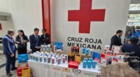  La Federación China de Empresarios en México AC, en colaboración con la Cámara de Representación Empresarial China, así como las empresas Solarever, ZTE, Dahua, Mindray y Oppo se unieron para llevar a […]