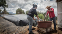   En respuesta a la creciente urgencia del cambio climático y la presión sobre nuestros recursos naturales, Sistema.bio reafirma su compromiso con la sostenibilidad y el medio ambiente. Con más de una […]