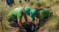 Pinol como parte de su estrategia de sostenibilidad crea y apoya eventos relacionados con la preservación de bosques y pinos, con el objetivo de llevar a tu hogar una verdadera […]