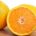 La Secretaría de Agricultura, Ganadería, Desarrollo Rural, Pesca y Alimentación (SAGARPA) informó que México se consolidó como el quinto productor mundial de naranja, con un volumen promedio de 4.2 millones […]