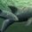 La Comisión Nacional de Áreas Naturales Protegidas (Conanp) y la Secretaría de Marina (Semar), en coordinación con Sea Shepherd Conservation Society (SSCS), informa los resultados del “Crucero de observación vaquita […]