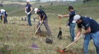 En el marco del Día del Medio Ambiente, se realizó la actividad anual de Voluntarios Modelo que realizaron diversas actividades de conservación de áreas verdes y espacios naturales en diversas […]